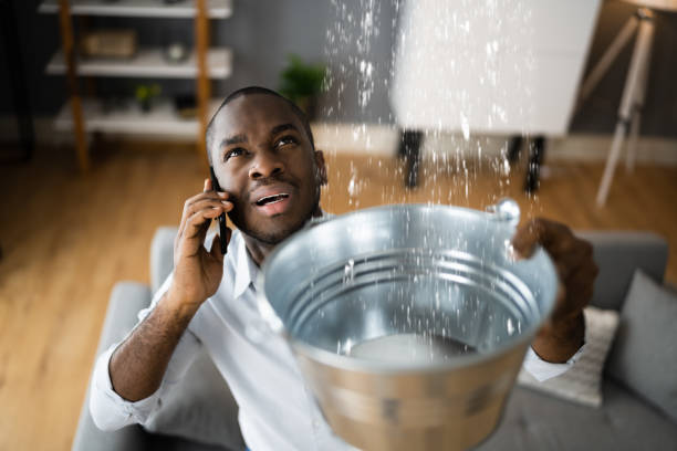 Best Water damage restoration services  in Clinton, AR