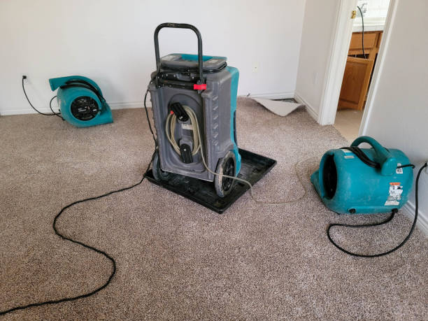 Professional Water damage restoration in Clinton, AR