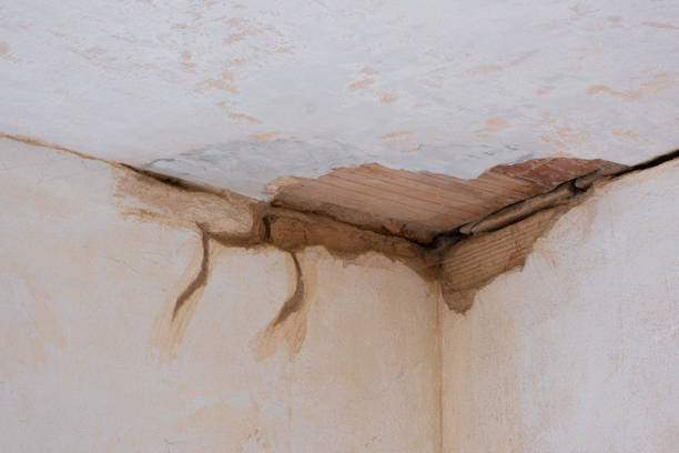 Best Sewage cleanup and water damage restoration  in Clinton, AR