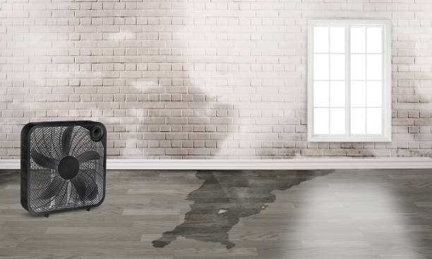 Best Flood restoration services  in Clinton, AR