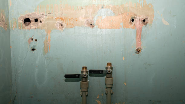 Best Flood damage cleanup  in Clinton, AR