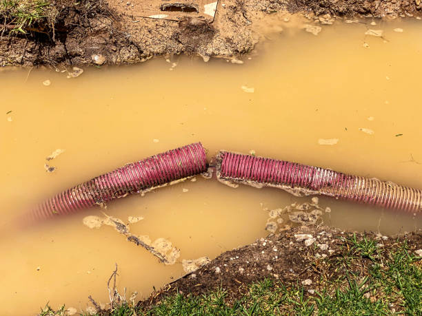 Best Emergency water damage restoration  in Clinton, AR