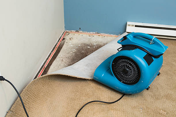 Best Professional water damage repair  in Clinton, AR